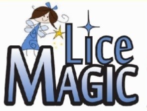 Lice Magic LLC in Black Hawk