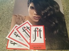 FIT Salon (Febre International Textures) in Plymouth