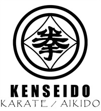 Kenseido Karate Aikido in San Antonio