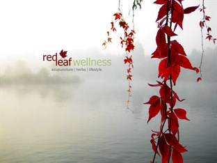 Red Leaf Wellness in Edmonton