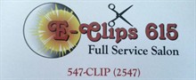 Eclips 615 Salon in Walker