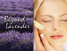 Beyond Lavender @ Salons of Volterra in Ft. Worth