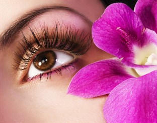 Bohemian Lash Lounge in Clarendon HIlls