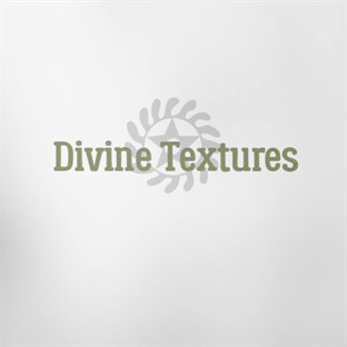 Divine Textures Holistic hair salon in Columbia