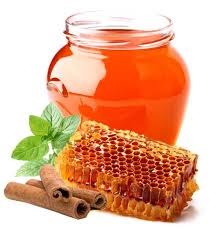 Bees Honey in New York