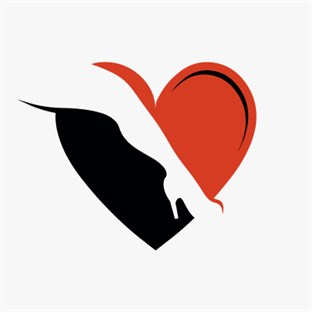 5280 Laser Aesthetics in Thornton