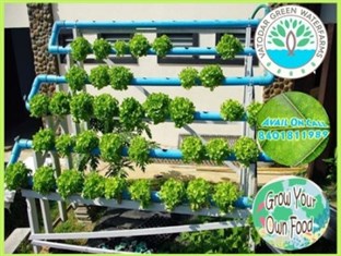 Vatodar Green Waterfarms in Vadodara