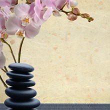 Balance Massage & Wellness in Calgary