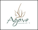 Agave