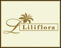 Liliflora