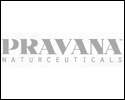 Pravana